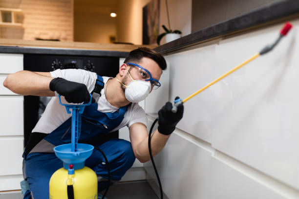 Best Wasp Removal Services  in Silverton, OR