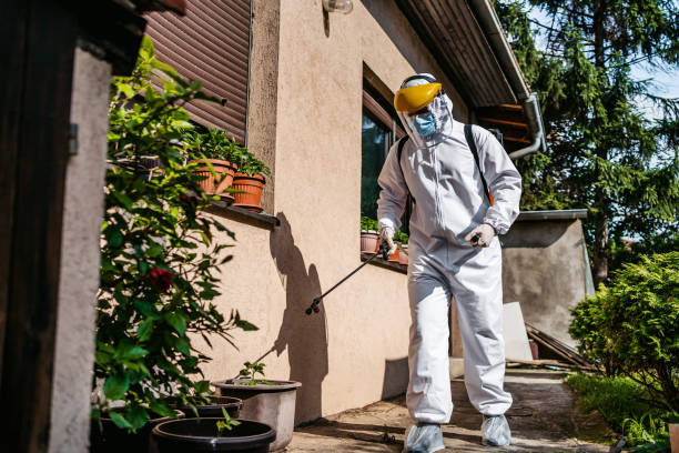 Best Pest Removal Services  in Silverton, OR
