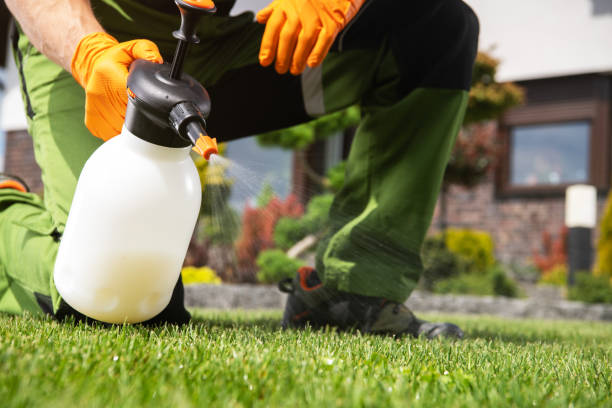 Flea Control Services in Silverton, OR