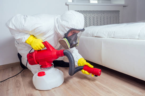 Best Rat Extermination Near Me  in Silverton, OR