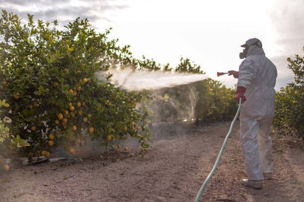 Best Best Pest Control Companies  in Silverton, OR