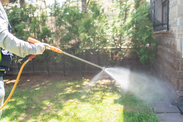 Wildlife Control Services in Silverton, OR