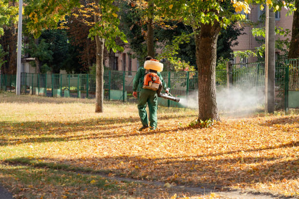 Trusted Silverton, OR Pest Control Experts