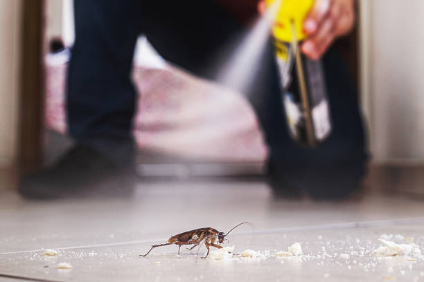 Best Residential Pest Control  in Silverton, OR