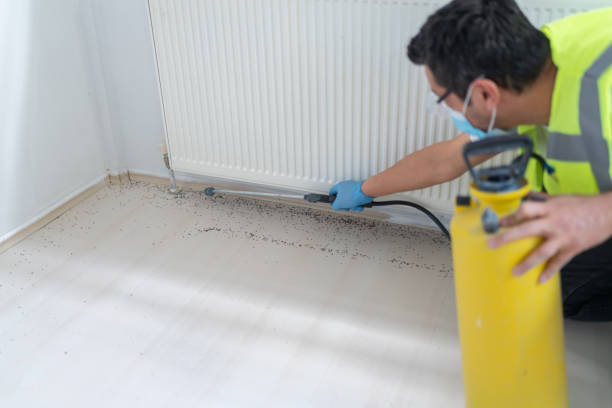 Best Best Pest Control Companies  in Silverton, OR