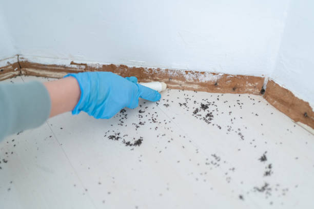Best Pest Removal Services  in Silverton, OR