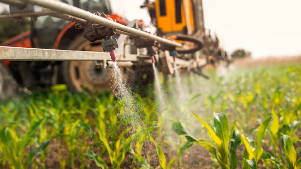 Best Mosquito Control Services  in Silverton, OR