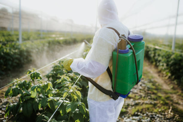 Best Pest Control Near Me in Silverton, OR
